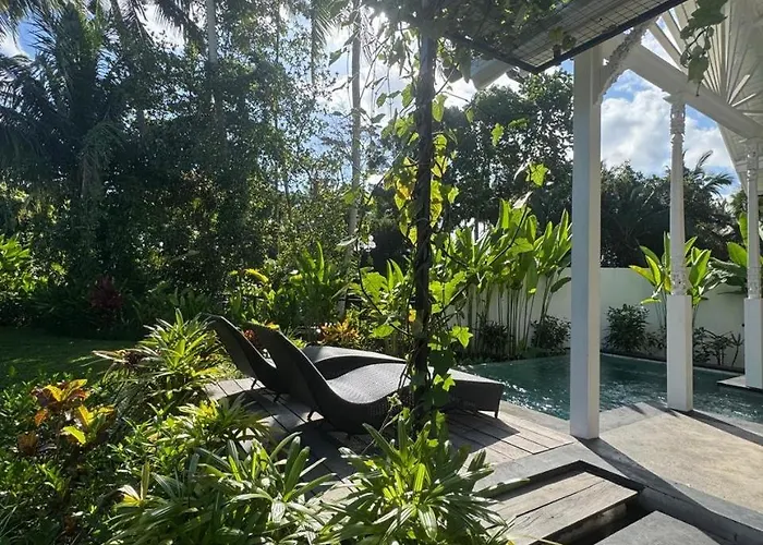 Dahlia Garden
